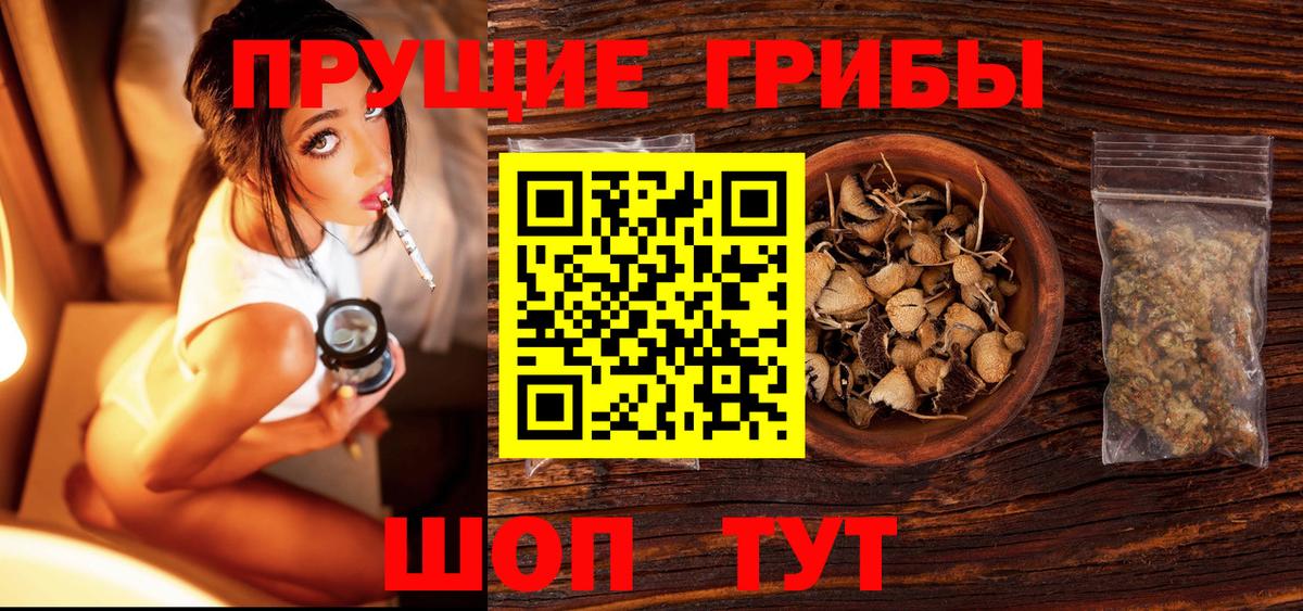 Сосновоборск  Галлюциногенные грибы MAGIC MUSHROOMS  Псилоцибиновые грибы мицелий  Вход с VPN 